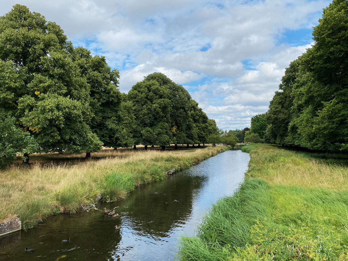 Bushy Park from Pantiles Bridge